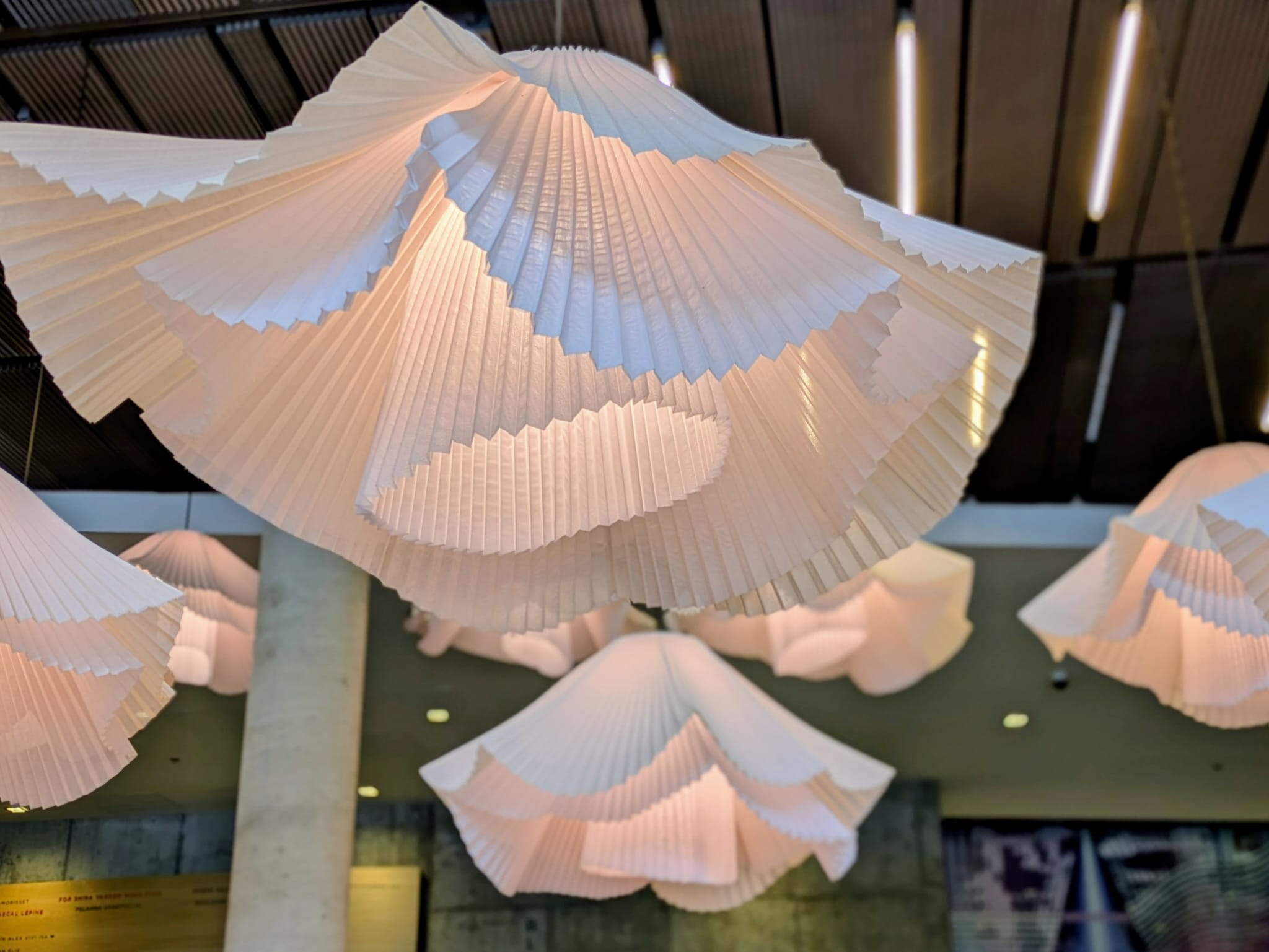 Whose script are you living by?