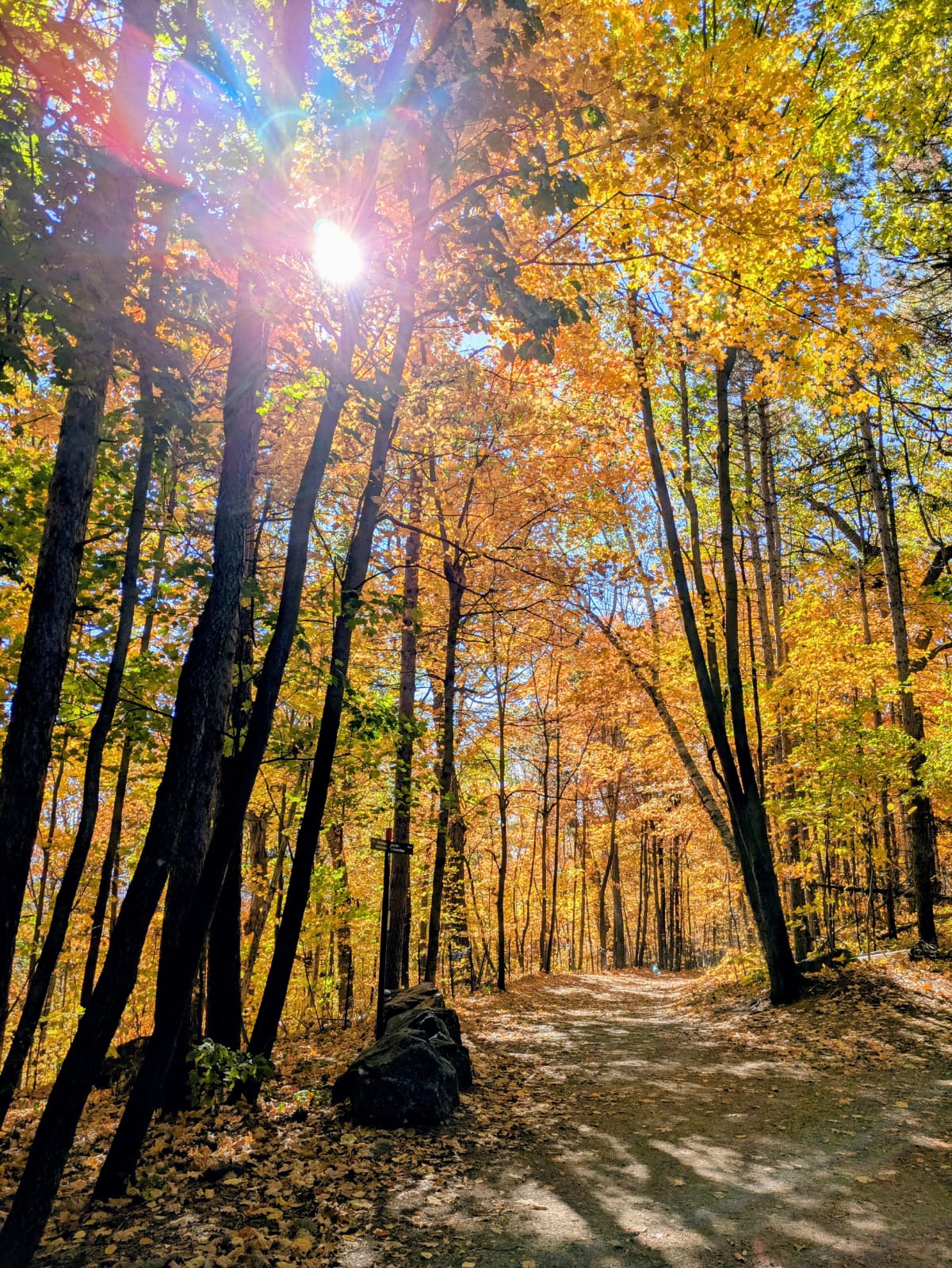 Paying attention requires energy